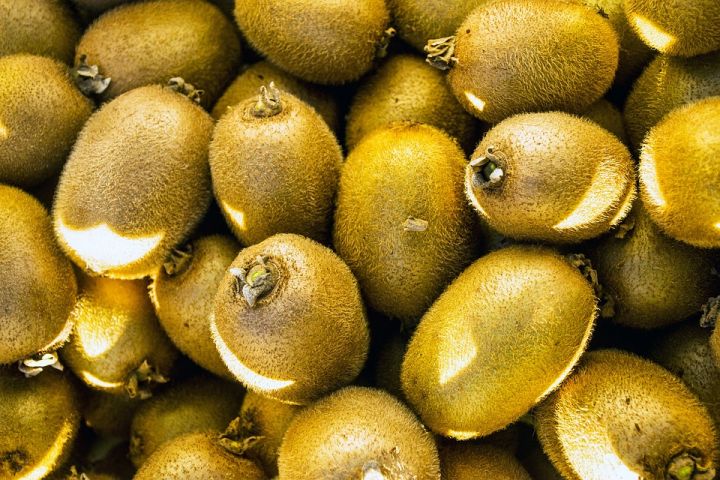 İrandan Azərbaycana gətirilmiş 446 ton kividə də zərərli orqanizm aşkarlandı